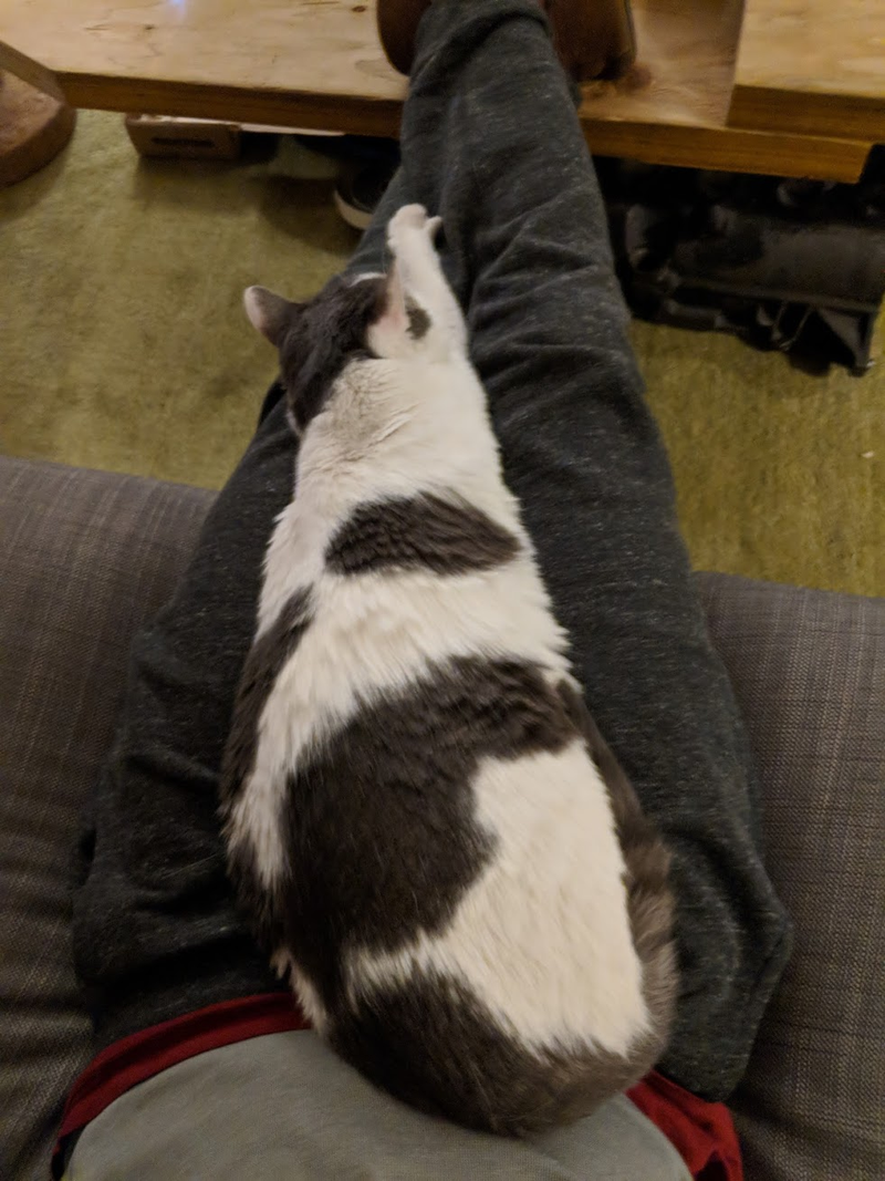 Lap. Verdict: 8/10